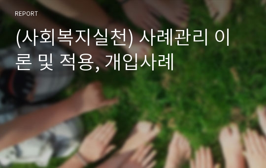 (사회복지실천) 사례관리 이론 및 적용, 개입사례