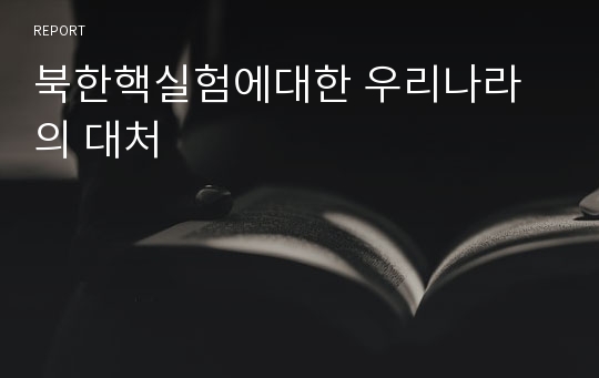 북한핵실험에대한 우리나라의 대처