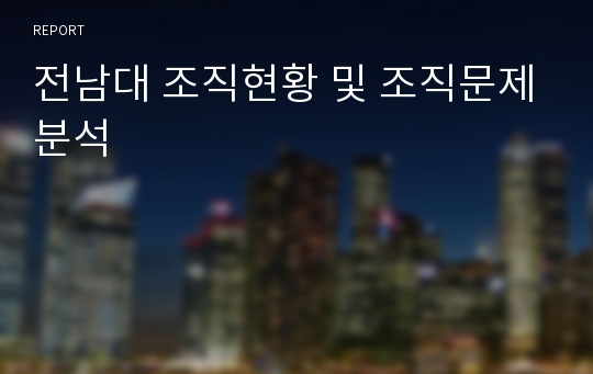 전남대 조직현황 및 조직문제분석