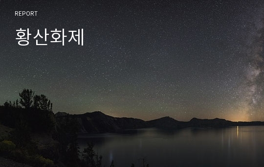 황산화제