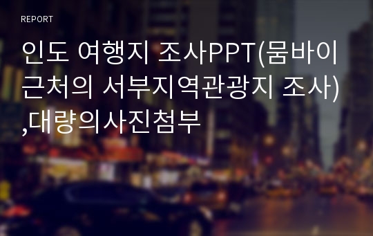 인도 여행지 조사PPT(뭄바이근처의 서부지역관광지 조사),대량의사진첨부