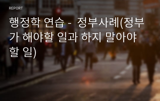 행정학 연습 -  정부사례(정부가 해야할 일과 하지 말아야 할 일)