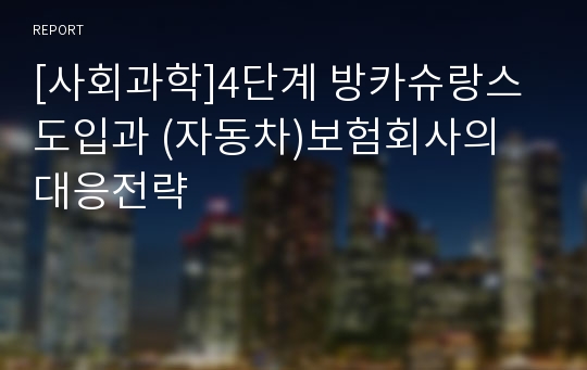 [사회과학]4단계 방카슈랑스 도입과 (자동차)보험회사의 대응전략