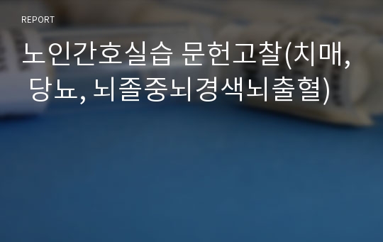 노인간호실습 문헌고찰(치매, 당뇨, 뇌졸중뇌경색뇌출혈)