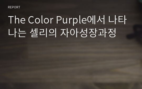 The Color Purple에서 나타나는 셀리의 자아성장과정