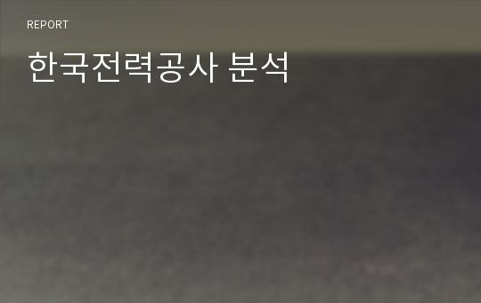 한국전력공사 분석