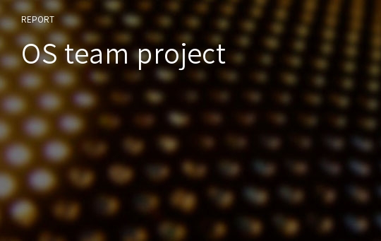 OS team project