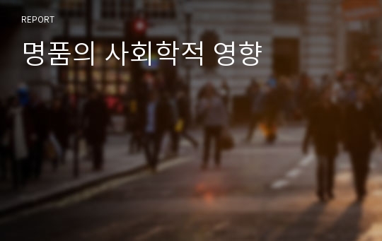 명품의 사회학적 영향