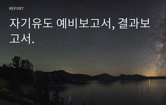 자기유도 예비보고서, 결과보고서.