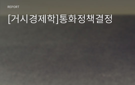 [거시경제학]통화정책결정