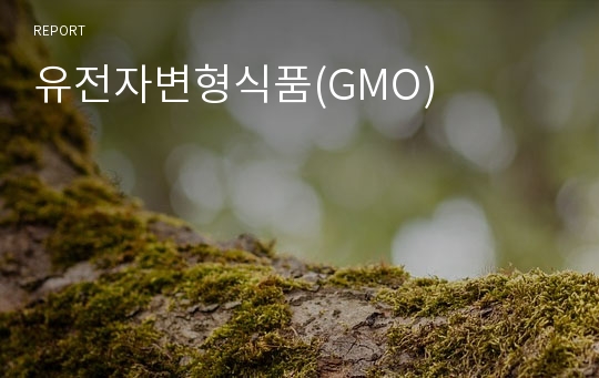 유전자변형식품(GMO)