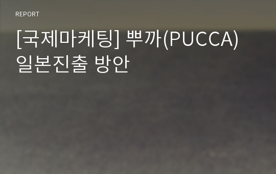 [국제마케팅] 뿌까(PUCCA) 일본진출 방안