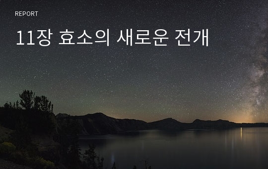 11장 효소의 새로운 전개