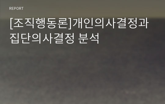 [조직행동론]개인의사결정과 집단의사결정 분석