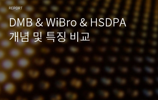 DMB &amp; WiBro &amp; HSDPA 개념 및 특징 비교