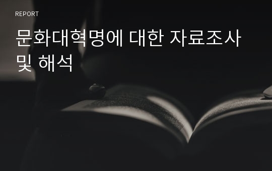 문화대혁명에 대한 자료조사 및 해석