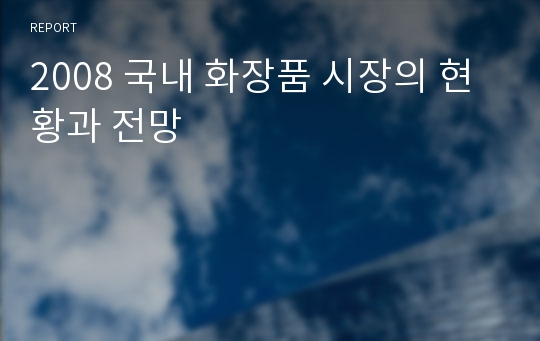 2008 국내 화장품 시장의 현황과 전망