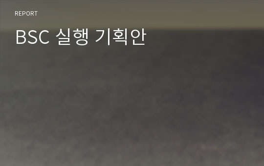 BSC 실행 기획안