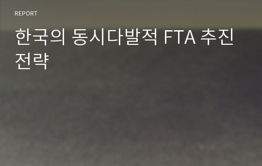 한국의 동시다발적 FTA 추진전략