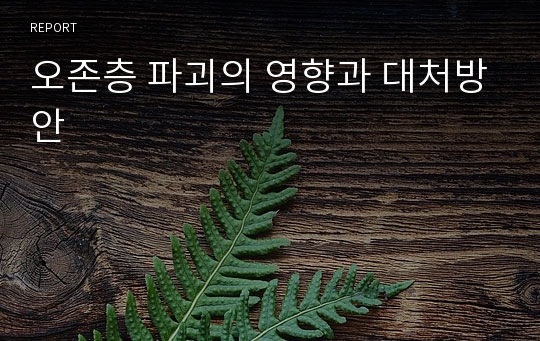 오존층 파괴의 영향과 대처방안