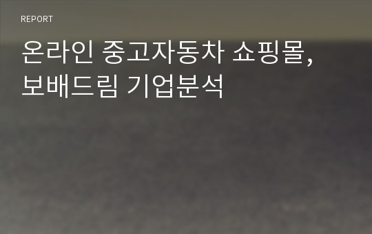 온라인 중고자동차 쇼핑몰, 보배드림 기업분석