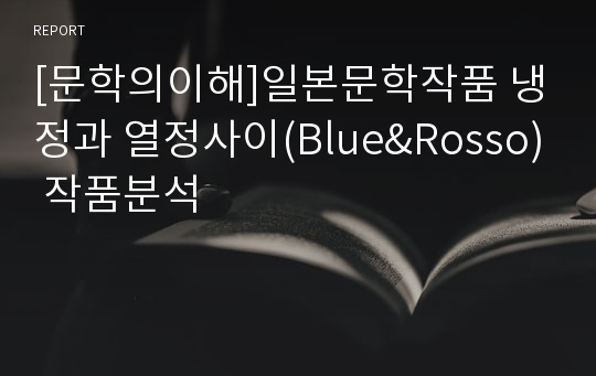 [문학의이해]일본문학작품 냉정과 열정사이(Blue&amp;Rosso) 작품분석