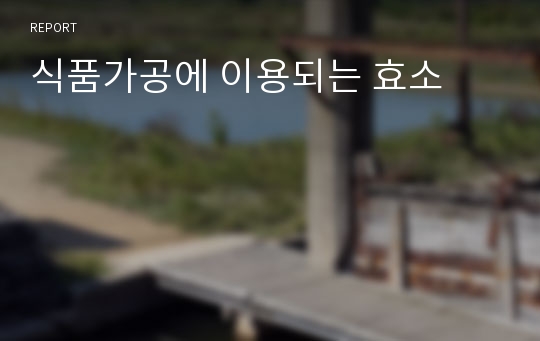 식품가공에 이용되는 효소