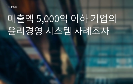 매출액 5,000억 이하 기업의 윤리경영 시스템 사례조사