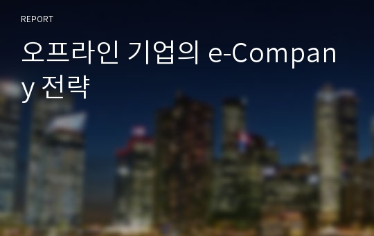 오프라인 기업의 e-Company 전략