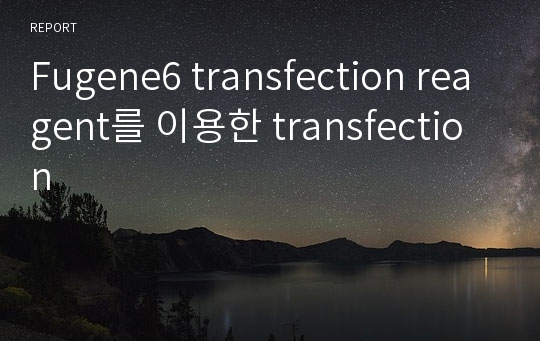 Fugene6 transfection reagent를 이용한 transfection