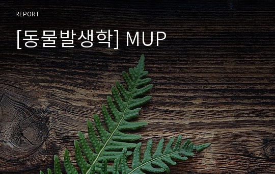 [동물발생학] MUP