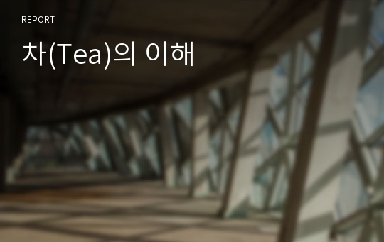 차(Tea)의 이해