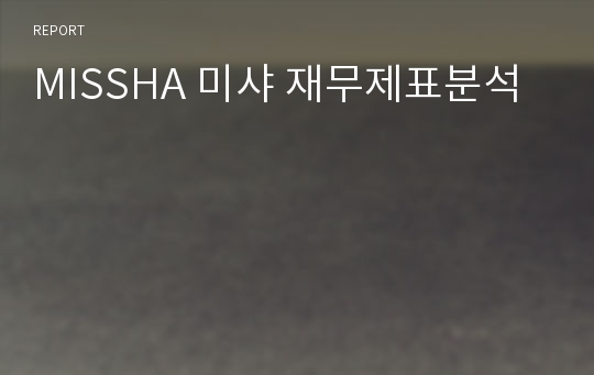 MISSHA 미샤 재무제표분석