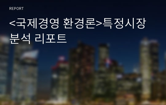 &lt;국제경영 환경론&gt;특정시장분석 리포트