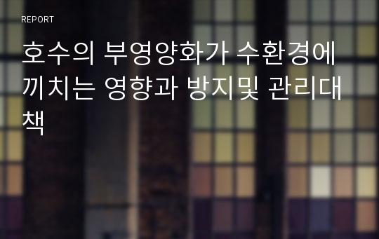 호수의 부영양화가 수환경에 끼치는 영향과 방지및 관리대책