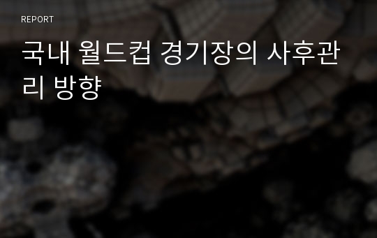 국내 월드컵 경기장의 사후관리 방향