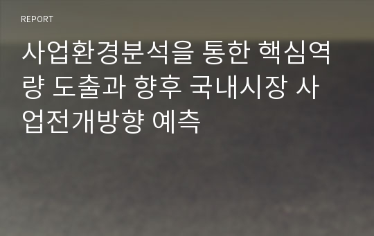 사업환경분석을 통한 핵심역량 도출과 향후 국내시장 사업전개방향 예측