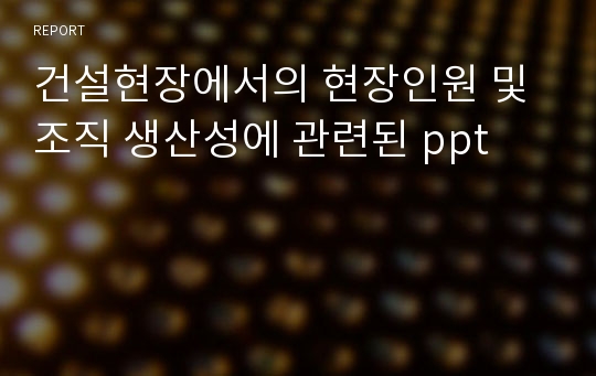 건설현장에서의 현장인원 및 조직 생산성에 관련된 ppt