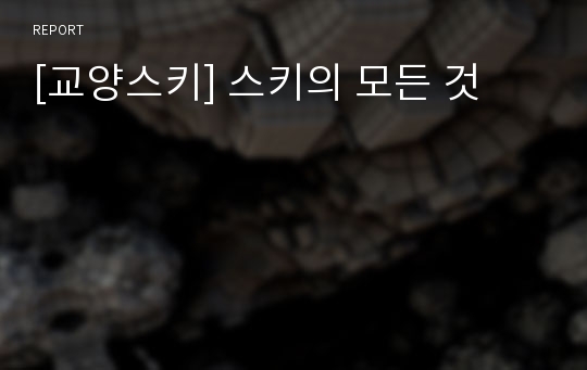 [교양스키] 스키의 모든 것