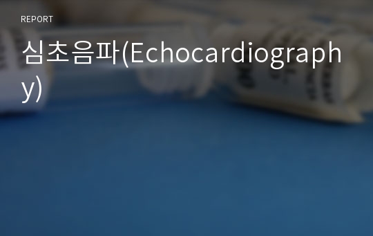 심초음파(Echocardiography)