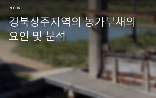 경북상주지역의 농가부채의 요인 및 분석