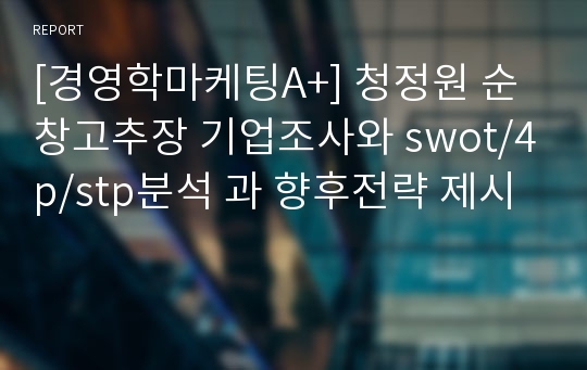 [경영학마케팅A+] 청정원 순창고추장 기업조사와 swot/4p/stp분석 과 향후전략 제시