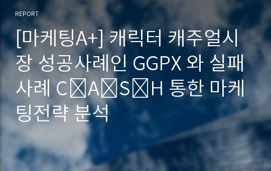 [마케팅A+] 캐릭터 캐주얼시장 성공사례인 GGPX 와 실패사례 C․A․S․H 통한 마케팅전략 분석