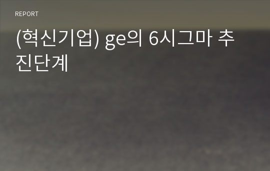 (혁신기업) ge의 6시그마 추진단계