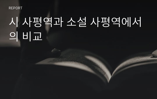 시 사평역과 소설 사평역에서의 비교