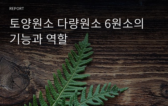 토양원소 다량원소 6원소의 기능과 역할