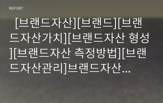   [브랜드자산][브랜드][브랜드자산가치][브랜드자산 형성][브랜드자산 측정방법][브랜드자산관리]브랜드자산의 정의, 브랜드자산의 가치, 브랜드자산의 형성, 브랜드자산의 측정방법, 브랜드자산의 관리 고찰