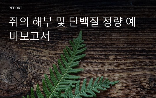 쥐의 해부 및 단백질 정량 예비보고서