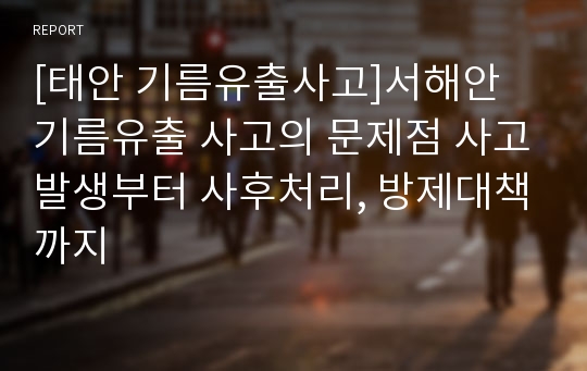 [태안 기름유출사고]서해안 기름유출 사고의 문제점 사고발생부터 사후처리, 방제대책까지