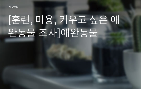 [훈련, 미용, 키우고 싶은 애완동물 조사]애완동물